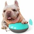 Hundefutter Ball Kleiner Futterspender Spiele Intelligenz Hund Interaktives Spielzeug Langsames Fressen für Hunde und Katzen (Blau) - Minkurow