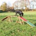 Trixie Dog Activity Agility Steg