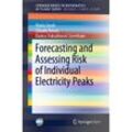 Forecasting and Assessing Risk of Individual Electricity Peaks - Maria Jacob, Cláudia Neves, Danica Vukadinovic Greetham, Kartoniert (TB)