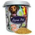 10 kg Lyra Pet® Paddyreis in 30 L Tonne