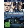 The Place beyond the Pines (DVD)