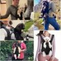 RHAFAYRE Haustier-Tragetasche, Hunderucksack – verstellbare Haustier-Fronttasche, Katzen-Hunde-Tragerucksack, Transport-Haustier-Rucksack für