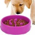 Slow Feeding Bowl für Hunde (lila), Slow Feeding Bowl, Anti Glutton Bowl für Hund und Katze, fördert gesunde Ernährung und langsame Verdauung