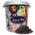 10 kg Lyra Pet® Rosinen in 30 L Tonne