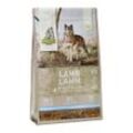 isegrim® STEPPE Lamm mit Beeren & Wildkräutern Trockenfutter, 3 kg, Hundefutter trocken