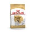 Jack Russell Adult – Trockenfutter für Hunde – 7,5 kg - Royal Canin