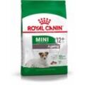 Mini Ageing 12+ Adult Hunde-Trockenfutter 3,5 kg - Royal Canin
