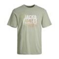JACK & JONES - T-Shirt JCOMAP SUMMER LOGO in desert sage, Gr.128