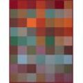 Wohndecke BIEDERLACK "Woven" Wohndecken Gr. B/L: 220 cm x 240 cm, bunt (colour) Baumwolldecken aus 100% Baumwolle