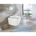 Tiefspül-WC WELLTIME "Vigo" WCs weiß WC-Becken spülrandlose Toilette aus Sanitärkeramik, inkl. WC-Sitz mit Softclose