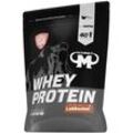Whey Protein - Lebkuchen - 1000 g Zipp-Beutel