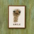Stickbild "Smile Vogel Strauß", 18 x 24 cm