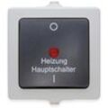 KOPP Feuchtraum-Heizungshauptschalter Nautic, 565356002, beleuchtet, grau