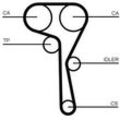 CONTINENTAL CTAM Wasserpumpe + Zahnriemensatz für AUDI SEAT VW SKODA CT1167WP2PRO