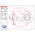 BREMBO Bremsensatz-Vorn und hinten Bremsensatz, Scheibenbremse vorne rechts links voll 239mm für SKODA VW SEAT PEUGEOT (FAW) (SVW) AUDI NISSAN RENAULT