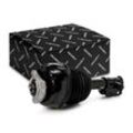 RIDEX Luftfederbein MERCEDES-BENZ 4118A0134 2123201938,212320333860,212320333880 2123208113,2123234600,A212320333860,A212320333880,A2123208113