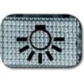Tastersymbol Licht 2145 LI, Schalter transparent, Retail