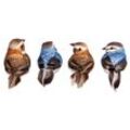 Federvögel mit Klammer, braun/blau, 4 Stück