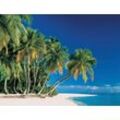 PAPERMOON Fototapete "Tropical Palms" Tapeten Gr. B/L: 5 m x 2,8 m, Bahnen: 10 St., bunt (mehrfarbig) Fototapeten