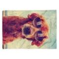 Sinus Art Handtücher Handtuch Strandhandtuch Saunatuch Kuscheldecke mit Tiermotiv cooler Hund mit So