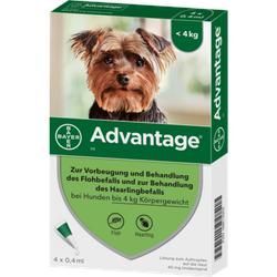Advantage 40 Lösung f.Hunde bis 4 kg 4 St