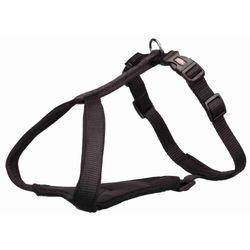 TRIXIE Trixie Premium Y Geschirr für Hunde, XXS–XS: 30–37 cm/10 mm, schwarz