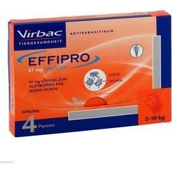 Effipro 67 mg Pip.Lsg.z.Auftropf.f.kl.Hunde 4 St
