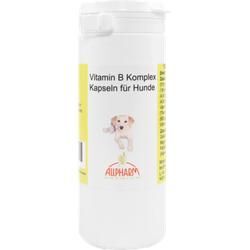 Vitamin B Komplex Kapseln f.Hunde 100 St
