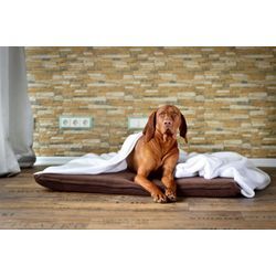 Carpe Sonno Tierkissen Hundekissen mit Decke zum schlafen und entspannen für Hunde und Katzen