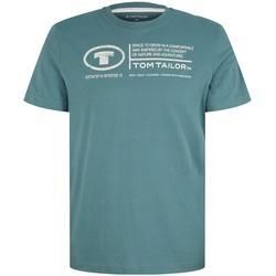 TOM TAILOR Herren T-Shirt mit Logo Print, grün, Logo Print, Gr. XL