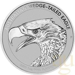 1 Unze Platinmünze Australien Wedge Tailed Eagle 2022 - Reverse Proof