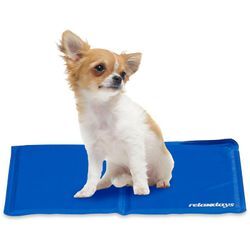 Relaxdays Kühlmatte Hund, 40 x 30 cm, selbstkühlende Hundematte, Gel, abwischbar, Kühlunterlage für Haustiere, blau