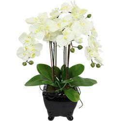 Kunstblume Künstliche Orchidee in Schale Phalaenopsis Kunstblume Blume, I.GE.A., Höhe 60 cm, Kunstorchidee Deko Dekoblume Seidenblume, weiß