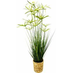 Kunstpflanze I.GE.A. "Zyperngras in Wasserhyazinthentopf" Kunstpflanzen Gr. B/H: 39 cm x 120 cm, 1 St., grün Künstliche Zimmerpflanzen