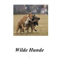 Wilde Hunde - Gabriele Dolz, Kartoniert (TB)