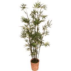 Kunstpflanze I.GE.A. "Bambus" Kunstpflanzen Gr. B/H: 45 cm x 150 cm, 1 St., grün Künstliche Zimmerpflanzen