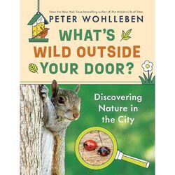 What's Wild Outside Your Door? - Peter Wohlleben, Gebunden