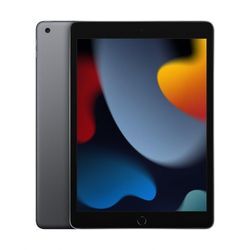 Apple iPad + Cellular 9. Generation 25,9cm (10,2") 256GB space grau