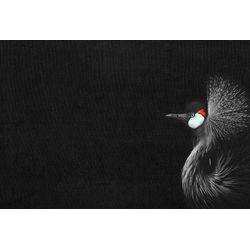 LIVING WALLS Fototapete "ARTist Crowned Crane Black" Tapeten Gr. B/L: 4 m x 2,7 m, rot (rot, schwarz, weiß) Fototapeten