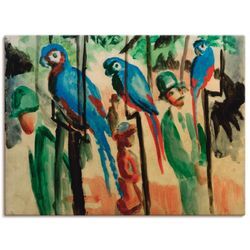 Leinwandbild ARTLAND "Bei den Papageien" Bilder Gr. B/H: 80 cm x 60 cm, Vögel Querformat, 1 St., bunt Leinwandbilder