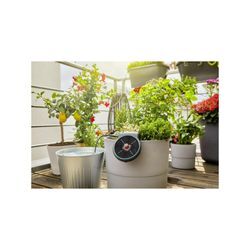 Gardena Solar-Bewässerung aquaBloom Set 13300-20)