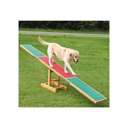 Agility Wippe, 300 x 54 x 34cm